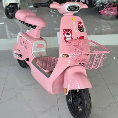 Xe đạp điện Q1