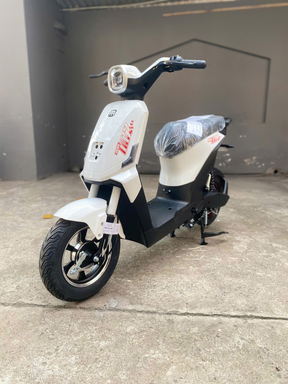 Xe đạp điện Move 007